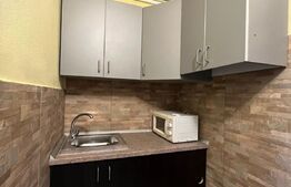 Garsoniera, 24 mp, complet renovata, in Broscarie