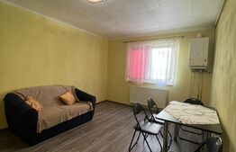 Garsoniera, 24 mp, complet renovata, in Broscarie