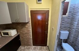 Garsoniera, 24 mp, complet renovata, in Broscarie