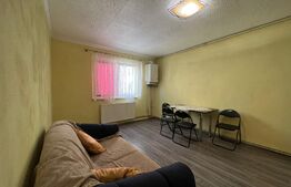 Garsoniera, 24 mp, complet renovata, in Broscarie