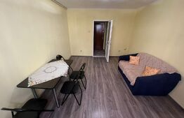 Garsoniera, 24 mp, complet renovata, in Broscarie