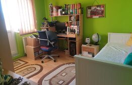 Apartament 2 camere, 50 mp, mobilat/utilat, zona Turnisor