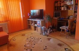 Apartament 2 camere, 50 mp, mobilat/utilat, zona Turnisor
