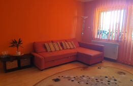 Apartament 2 camere, 50 mp, mobilat/utilat, zona Turnisor