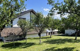 Casa 4 camere, 172 mp, 3340 mp teren, Tropini Vechi Rasinari