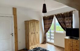 Casa 4 camere, 172 mp, 3340 mp teren, Tropini Vechi Rasinari