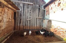 Casa de 4 camere, 1000 mp teren, in Cristian