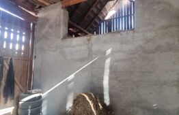 Casa de 4 camere, 1000 mp teren, in Cristian