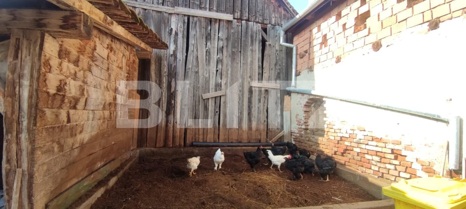 Casa de vânzare 4 camere Exterior Vest - 99482CV | BLITZ Sibiu | Poza16