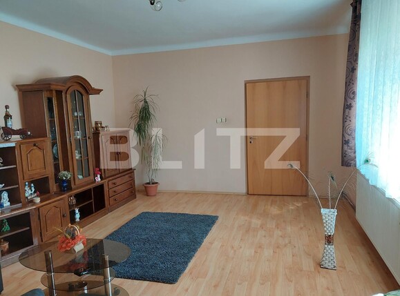Casa de vânzare 4 camere Turnisor - 99911CV | BLITZ Sibiu | Poza6