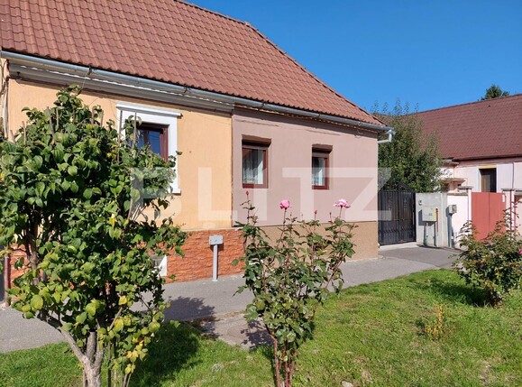 Casa de vânzare 4 camere Turnisor - 99911CV | BLITZ Sibiu | Poza4