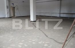 Cladire comerciala, 951 mp, teren 5000 mp, Potcoava