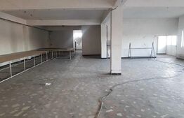 Cladire comerciala, 951 mp, teren 5000 mp, Potcoava