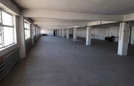 Cladire comerciala, 951 mp, teren 5000 mp, Potcoava