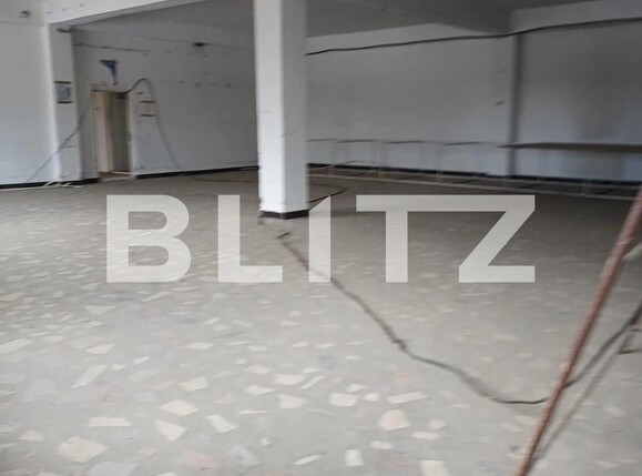 Spațiu industrial de vânzare Exteior Sud - 108308SVI | BLITZ Slatina | Poza10