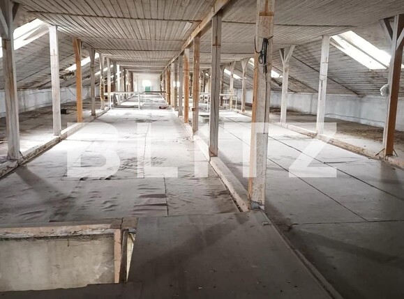 Spațiu industrial de vânzare Exteior Sud - 108308SVI | BLITZ Slatina | Poza8
