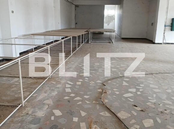 Spațiu industrial de vânzare Exteior Sud - 108308SVI | BLITZ Slatina | Poza6
