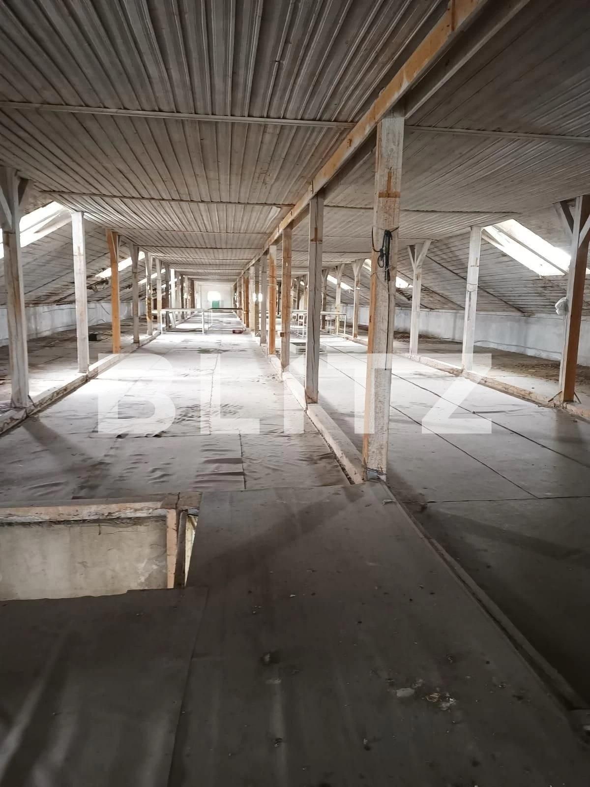 Spațiu industrial de vânzare Exteior Sud - 108308SVI | BLITZ Slatina | Poza8