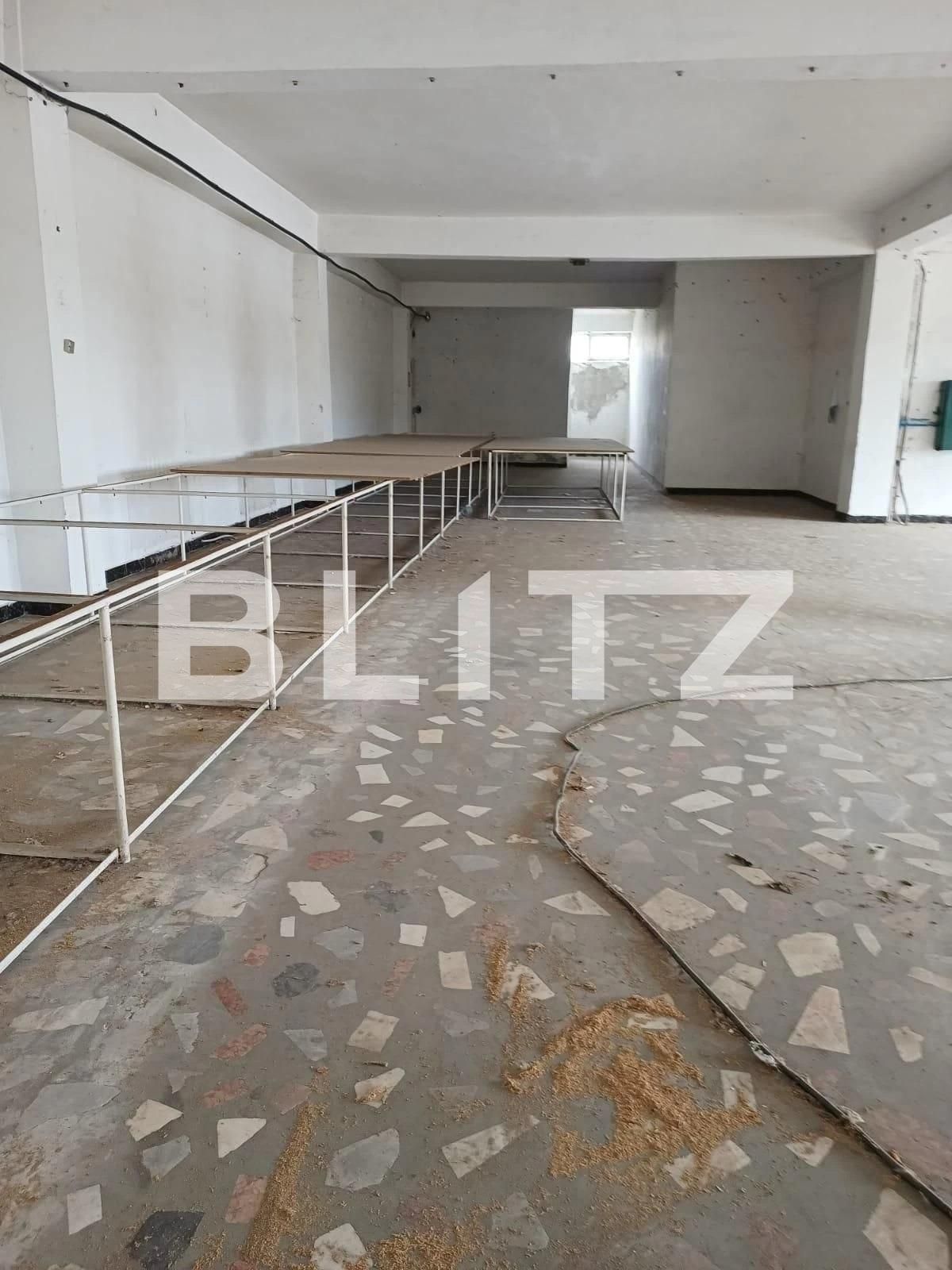 Spațiu industrial de vânzare Exteior Sud - 108308SVI | BLITZ Slatina | Poza6