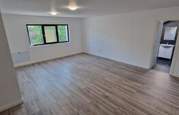 Apartament 2 camere open space, 58 mp, Balș zona centrala