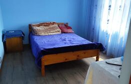 Casă spațioasă cu 800 mp teren, foișor și toate utilitățile, în Balș