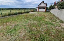 Casa de vanzare, 86 mp, Iancu Jianu
