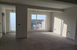 Vilă modernă P+1, 154,5 mp, Slatina