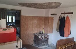 🚨 Casă din cărămidă cu teren uriaș 6.116 mp – Verguleasa (Olt)