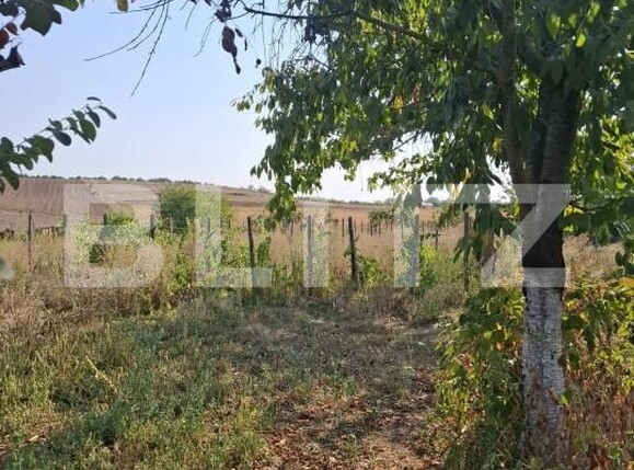 Casa de vânzare 7 camere Verguleasa - 204696CV | BLITZ Slatina | Poza23