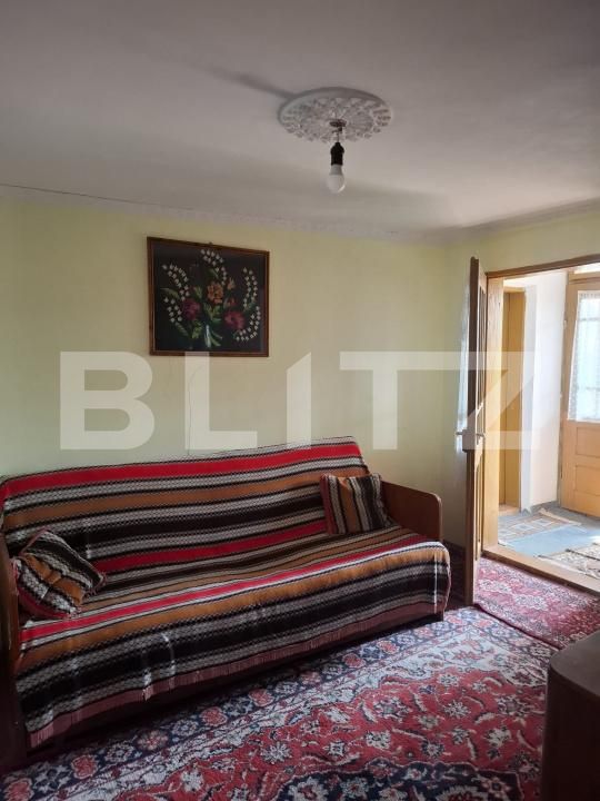 Casa de vânzare 7 camere Verguleasa - 204696CV | BLITZ Slatina | Poza19