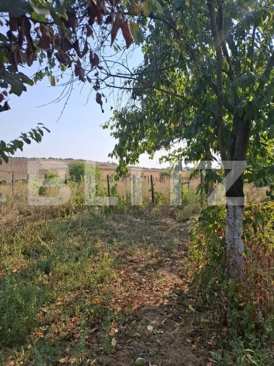Casa de vânzare 7 camere Verguleasa - 204696CV | BLITZ Slatina | Poza23