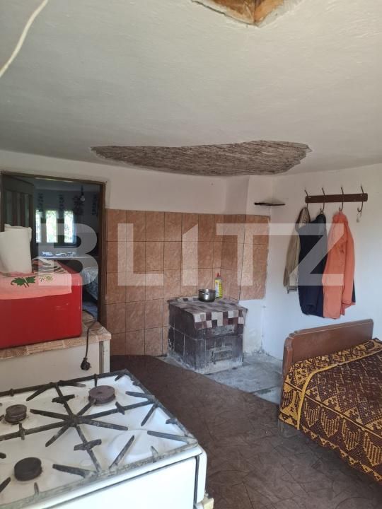 Casa de vânzare 7 camere Verguleasa - 204696CV | BLITZ Slatina | Poza24