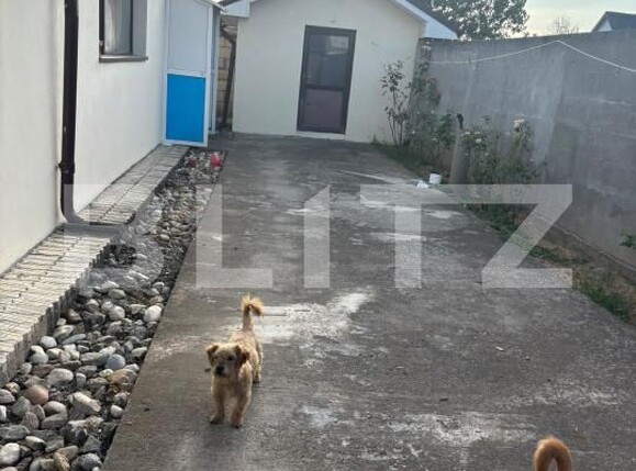 Casa de vânzare 4 camere Exterior Vest - 204996CV | BLITZ Slatina | Poza17
