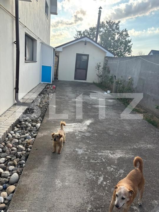 Casa de vânzare 4 camere Exterior Vest - 204996CV | BLITZ Slatina | Poza17