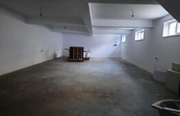 CASA+SPATIU PENTRU AFACERE/LOCUIT IANCU JIANU