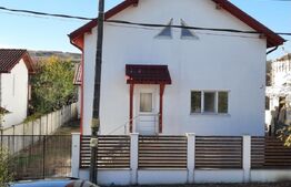CASA+SPATIU PENTRU AFACERE/LOCUIT IANCU JIANU