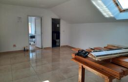 CASA+SPATIU PENTRU AFACERE/LOCUIT IANCU JIANU
