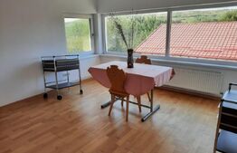 CASA+SPATIU PENTRU AFACERE/LOCUIT IANCU JIANU