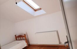 CASA+SPATIU PENTRU AFACERE/LOCUIT IANCU JIANU