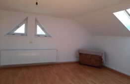 CASA+SPATIU PENTRU AFACERE/LOCUIT IANCU JIANU