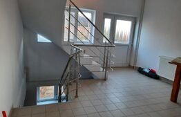 CASA+SPATIU PENTRU AFACERE/LOCUIT IANCU JIANU