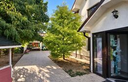 Vânzare urgentă! Proprietate comercială 342 mp + teren 657 mp