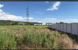 TEREN ARABIL DE VANZARE LINIA DIN VALE-CURTISOARA OLT