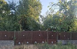 Urgent! Casă cu teren 5.038 mp, Pleșoiu-Arcești, stradă principală