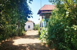 Urgent! Casă cu teren 5.038 mp, Pleșoiu-Arcești, stradă principală