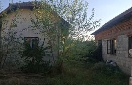 Urgent! Casă cu teren 5.038 mp, Pleșoiu-Arcești, stradă principală