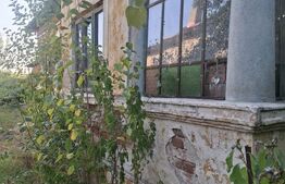 Urgent! Casă cu teren 5.038 mp, Pleșoiu-Arcești, stradă principală