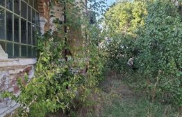 Urgent! Casă cu teren 5.038 mp, Pleșoiu-Arcești, stradă principală