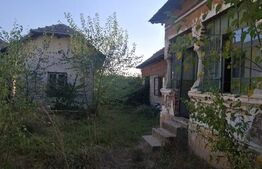Urgent! Casă cu teren 5.038 mp, Pleșoiu-Arcești, stradă principală