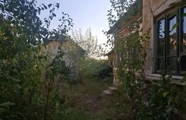 Urgent! Casă cu teren 5.038 mp, Pleșoiu-Arcești, stradă principală